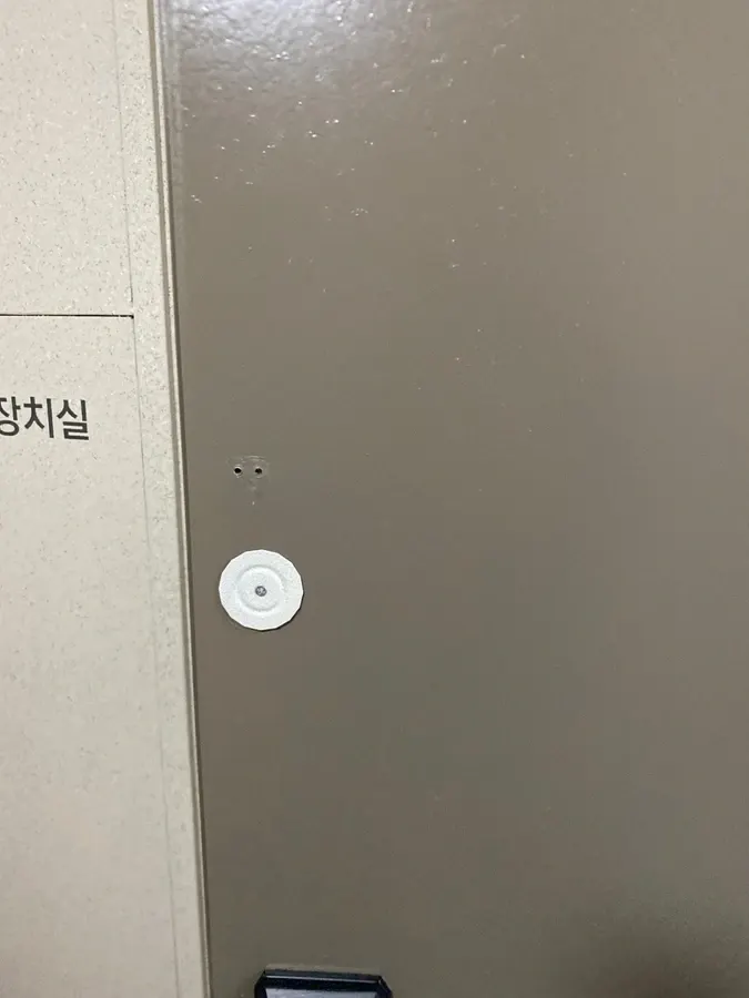 오래된 무늬목 패턴이 남아있는 현관문